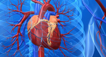 Can All Patients Needing Bypass Have Opcab?