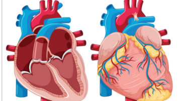 How Wounds Heal After Heart Operation